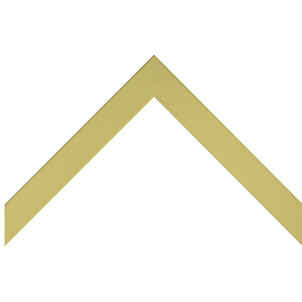 CF47140646.jpg img